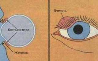 Ячмень на глазу лечение