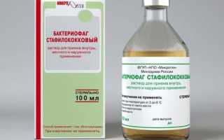 S aureus что это за бактерия