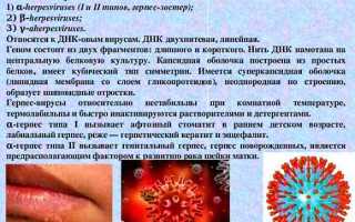 Простуда на губе