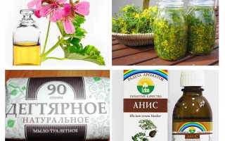 Вши профилактика и лечение