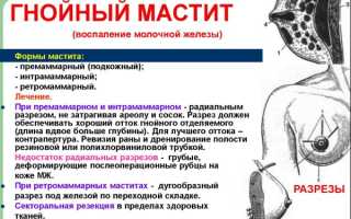 Березовый деготь на хлеб