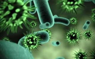 Ureaplasma spp что это у мужчин