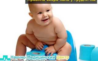 Как нужно сдавать анализ кала